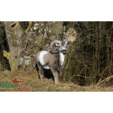 Natur Foam BIGHORN SHEEP - STANDING